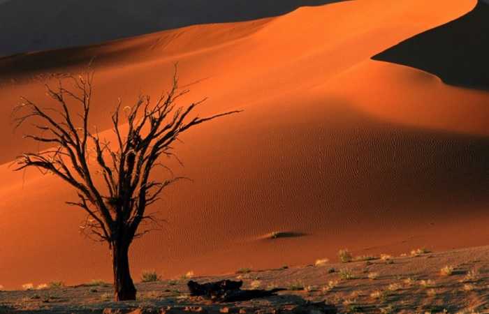 Намибия, природный заповедник Соссусфлей