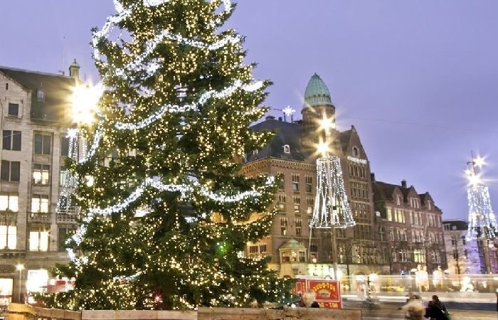 Лучшие елки мира, рождественская ель Амстердама