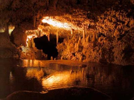 Пещеры Харрисона (Harrison Cave), Барбадос