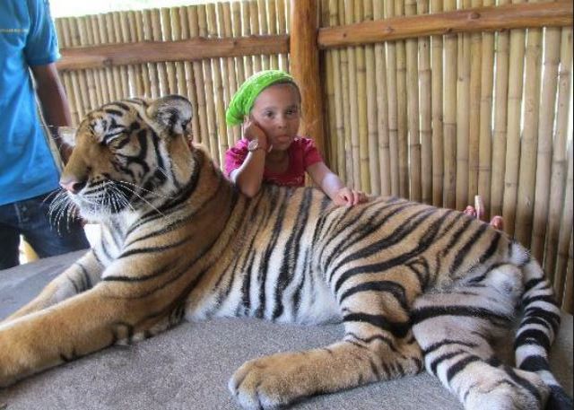 Отдых с детьми на Самуи, зоопарк