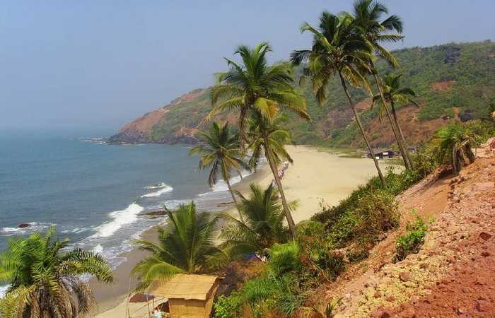 Индийский штат Гоа в январе  - лучшее место для отдыха