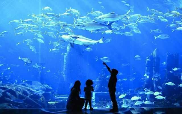 Развлечения для детей в Пафосе Кипр, аквариум