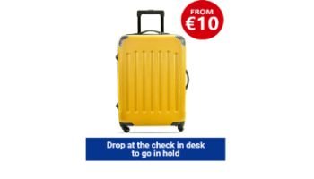 Ryanair регистрируемый багаж: сумка 10 кг 