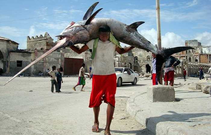 Рыба- меч, средиземноморская рыбалка 