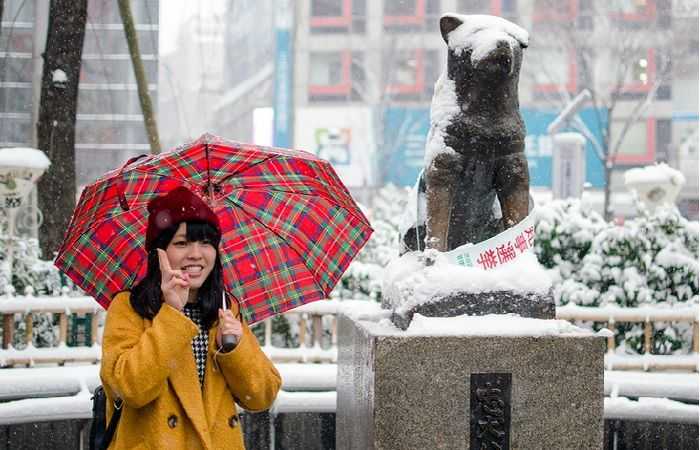 Токийцы радуются снежным пейзажам